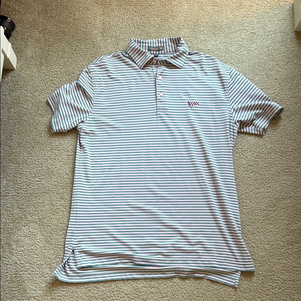 Striped Blue and Pink Men's Polo Shirt